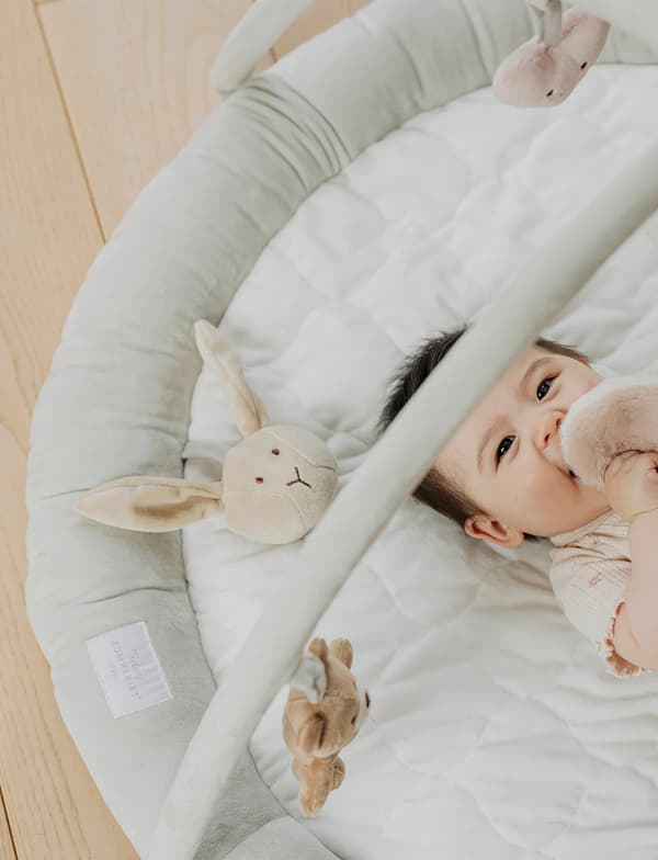 Teddykompaniet Diinglisar Babygym