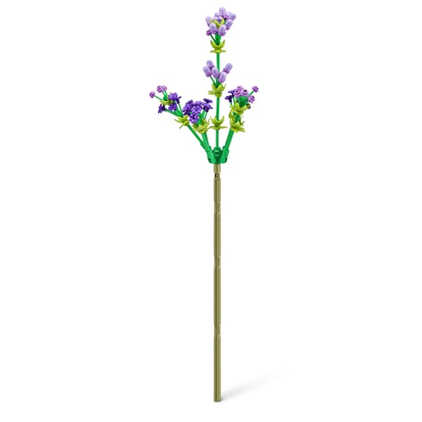 MAX Premium Garden Long Flowers Common Daisy And Lavender