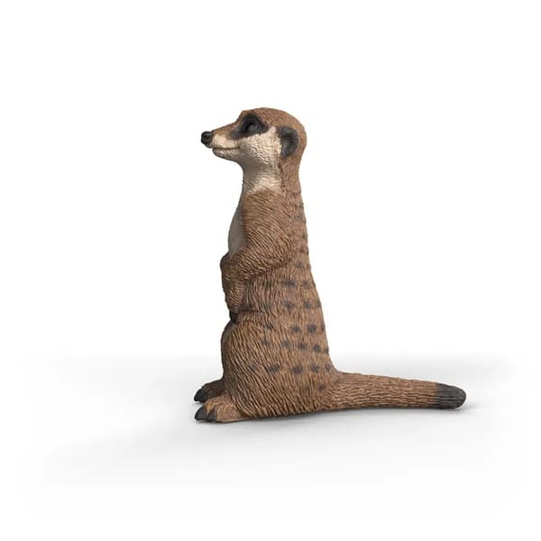 schleich® WILD LIFE Mangusti 14935