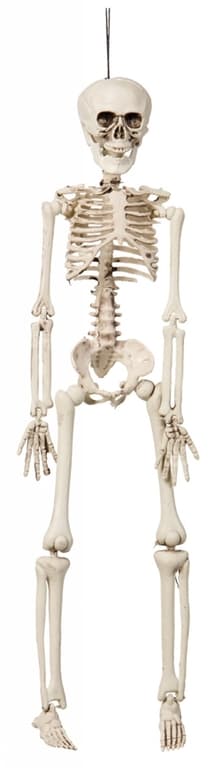 Hængende skelet 42cm