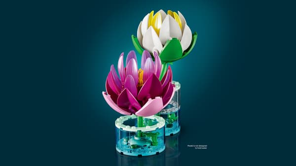 LEGO® Botanicals Lumpeet 11511