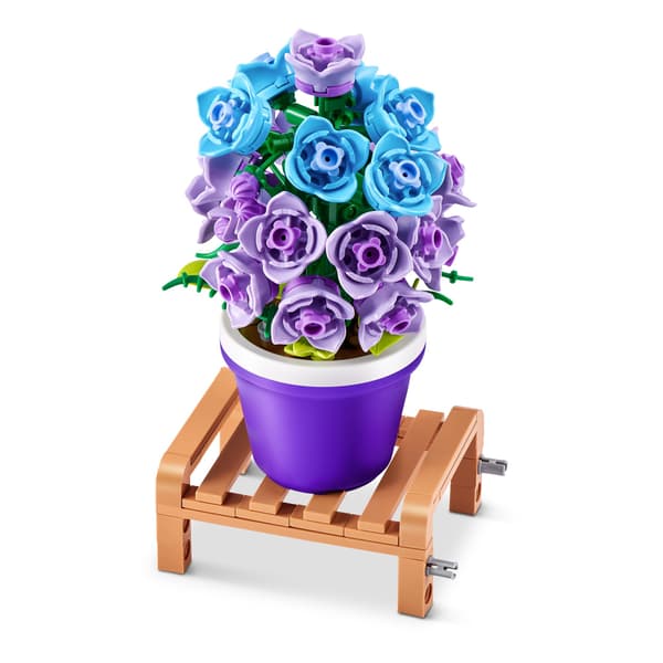 MAX Premium Garden Pot Plants Campanula
