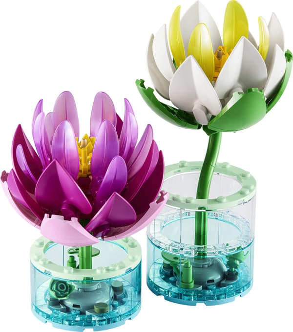 LEGO® Botanicals Åkander 11511