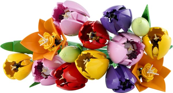 LEGO® Botanicals Tulppaanikimppu 11501