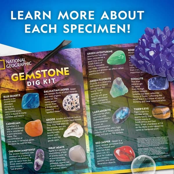 National Geographic Jumbo Gemstone Dig Kit