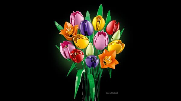 LEGO® Botanicals Tulppaanikimppu 11501