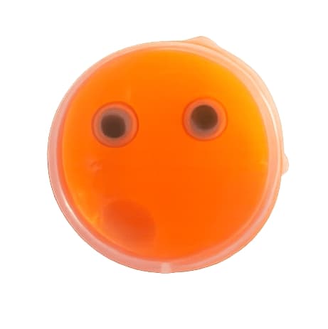 Studslera Neon Orange