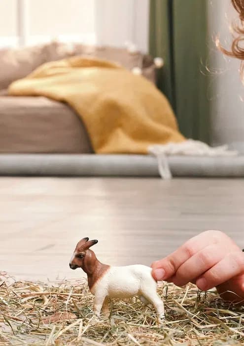 schleich® FARM WORLD Boerget 14929