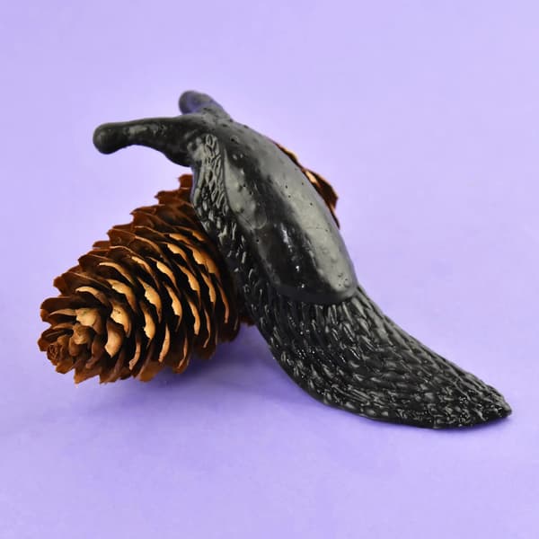 Sticky Snail