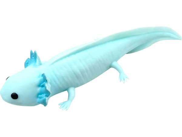 Squishy Cynops Turkis