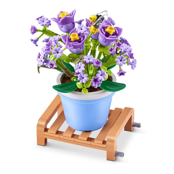 MAX Premium Garden Pot Plants Gypsophila Paniculata