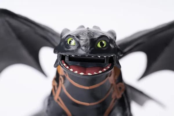 Dragons Toothless & Hiccup