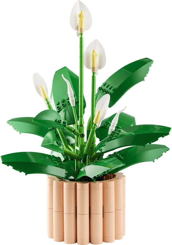 LEGO® Botanicals Fredslilje 11504
