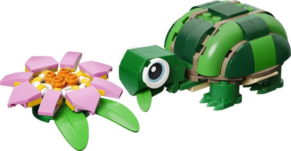 LEGO® Creator Skildpadde med åkande 31377