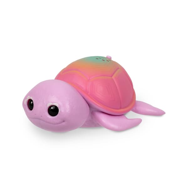Little Live Pets NeeDees Sandee Turtle