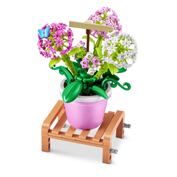 MAX Premium Garden Pot Plants Hydrangea Macrophylla