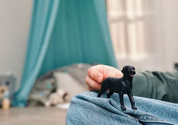 schleich® FARM WORLD Sort Labrador Retriever Hun 14923