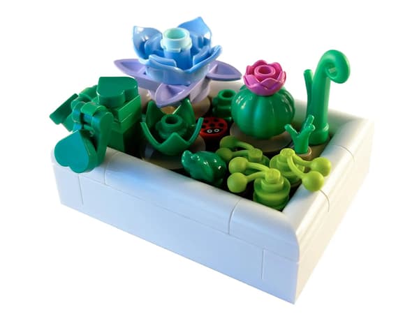 LEGO® Botanicals Tiny Desert Garden