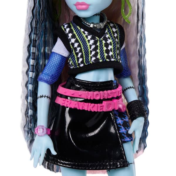 Monster High Docka Frankie Stein lisävarusteiden kanssa