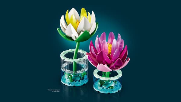 LEGO® Botanicals Lumpeet 11511