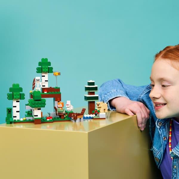 LEGO® Minecraft Första nattens äventyr 21593