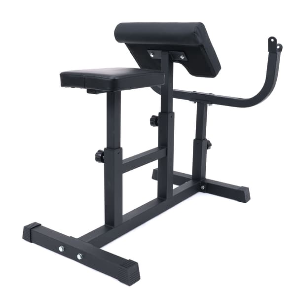 React Preacher Curl Benk 100