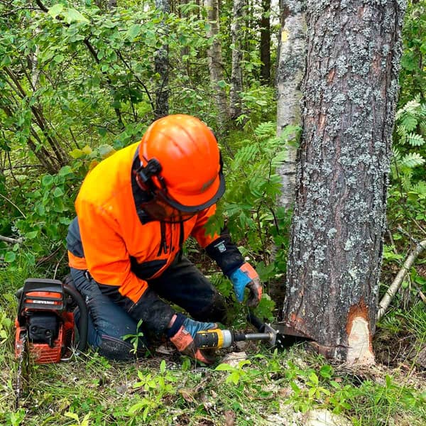 Jokijärven fellkile
