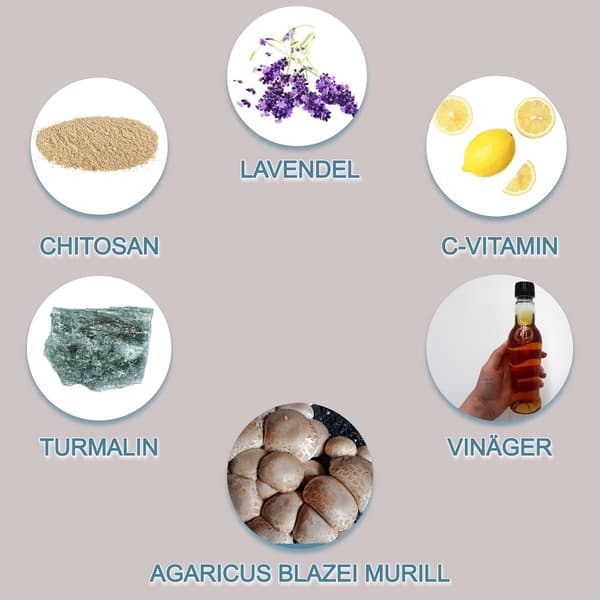 Detox-plaster Lavendel 10-pk – naturlig rensing
