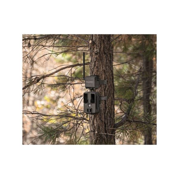 SPYPOINT TrailCam CELL CELL-LINK - GRÅ - SP680602