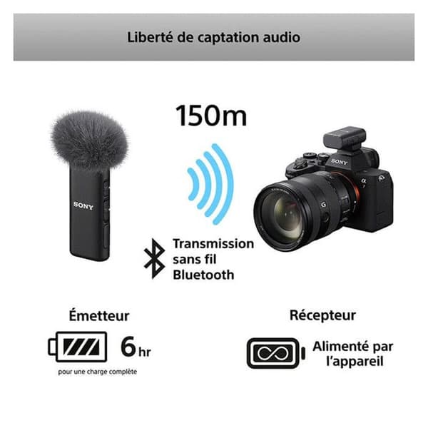 SONY Micro ECM-W3S