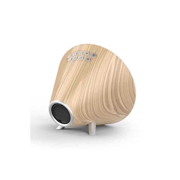 NASA Sääasema Bluetooth-kaiuttimella - WSP1700