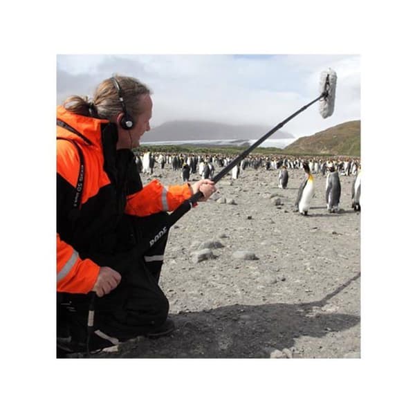 Rode Micro Boompole Tilbehør og mikrofonstativer