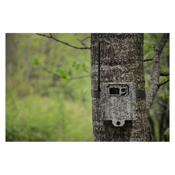 SPYPOINT sikkerhedskabinet til CAM MICRO - CAMO - SP680159