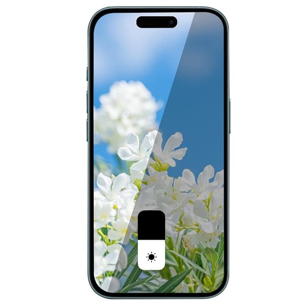 iPhone 15 Pro anti-spy glas