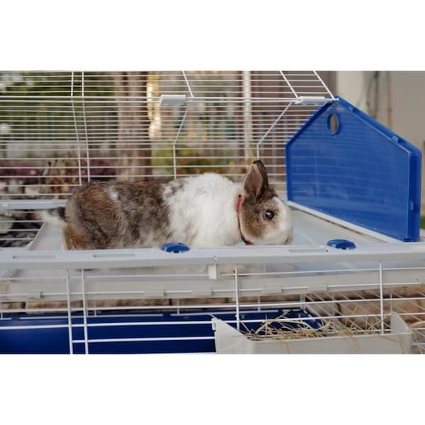 FERPLAST Rabbit Cage with Accessories - 78 x 48 x 65 cm