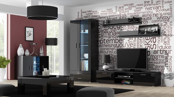 Cama Display Cabinet SOHO S6 2D2S Black/Black Gloss