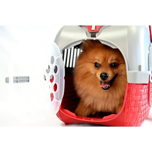 Bama Pet Transport Box 52x33x34 cm Red/Silver