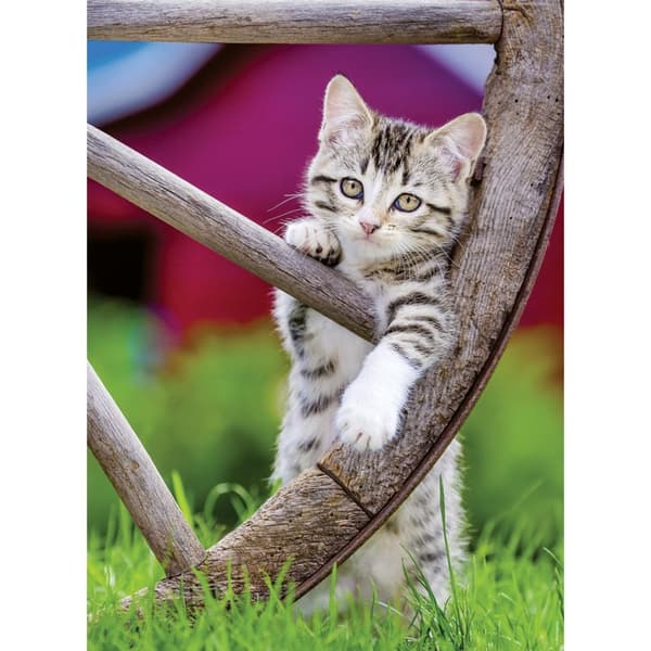 Ravensburger Puzzle Cats 2x500 Pieces