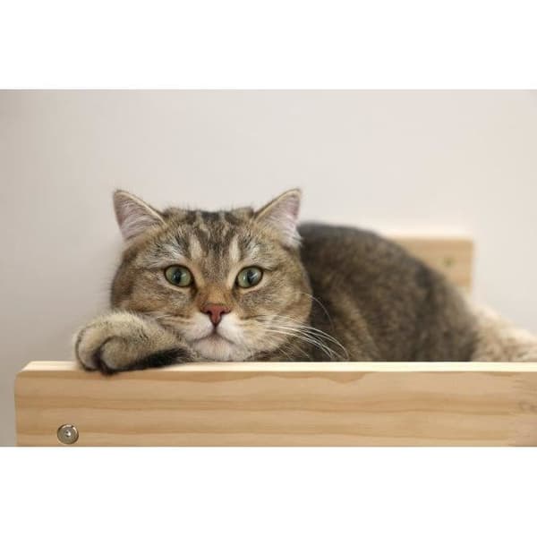 KERBL Wall-mounted Cat Hammock - TIMBER - 38x33.5x16 cm - Solid Wood