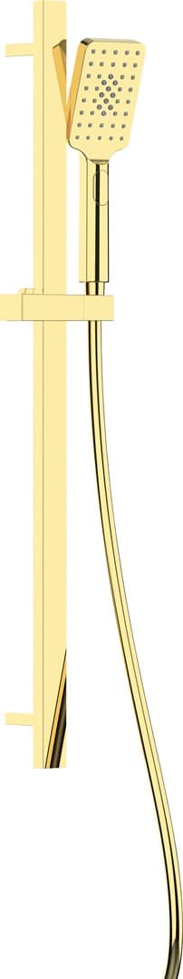 Deante Shower Set 3-Function Wall-Mounted Gold Alpinia NGAZ52K