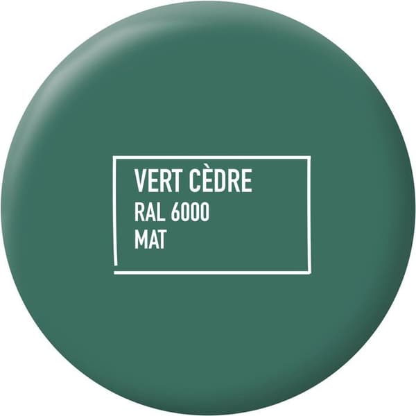 Ripolin Multi-surface Paint - Cedar Green - RAL 6000 - Matte - 2 L