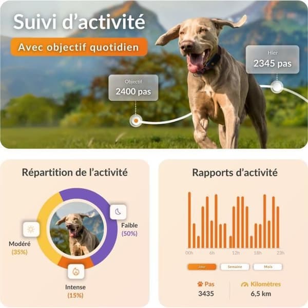 WEENECT Dog XT GPS Collar - XL Antenna - Waterproof - Julius-K9 - Orange