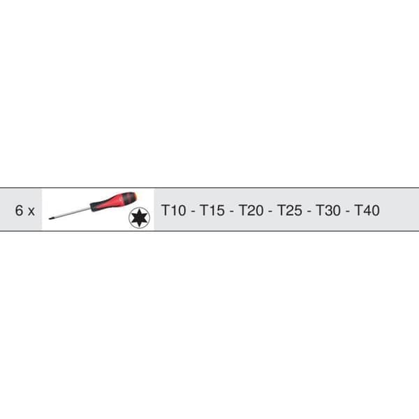 KS Tools Module - Ultimate Torx Screwdriver Module - 6 Pieces - For Tool Trolleys and Workbenches - Model 713.5013