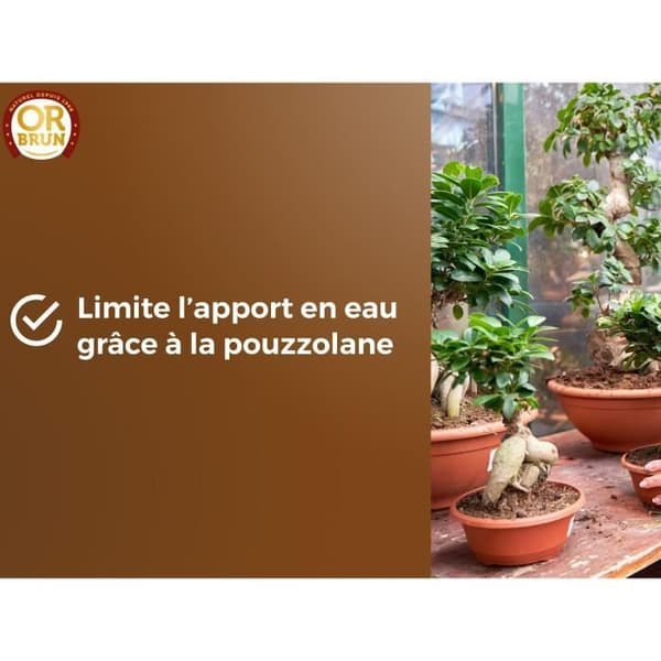 OR BRUN Bonsai Soil - OBRTBON6U - 6 L