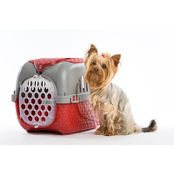 Bama Pet Transport Box 59x38x37 cm Red/Silver