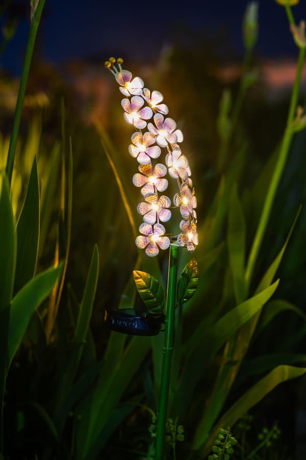 GALIX Violet Solar-Powered Decorative Light - G2622 - 15 Micro LEDs - 3 Lumens