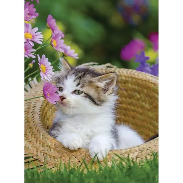 Ravensburger Puzzle Cats 2x500 Pieces