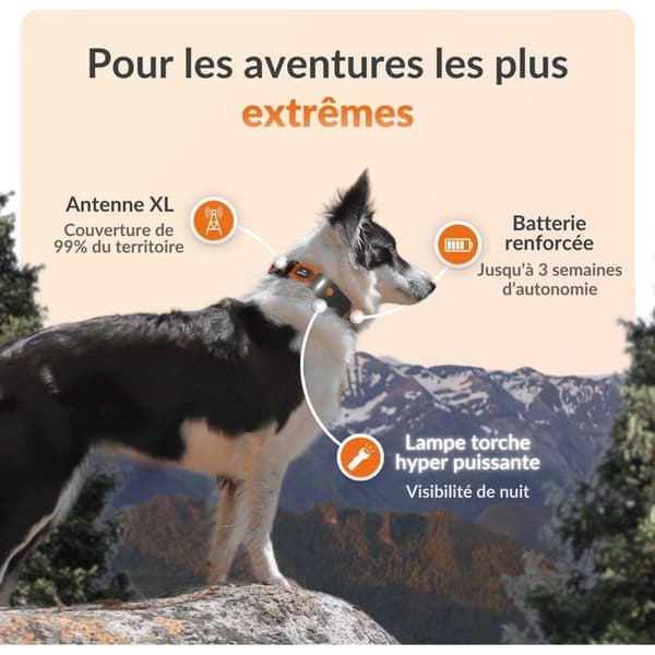 WEENECT GPS Dog Tracker - Dog XT - XL Antenna - Waterproof - Subscription Required