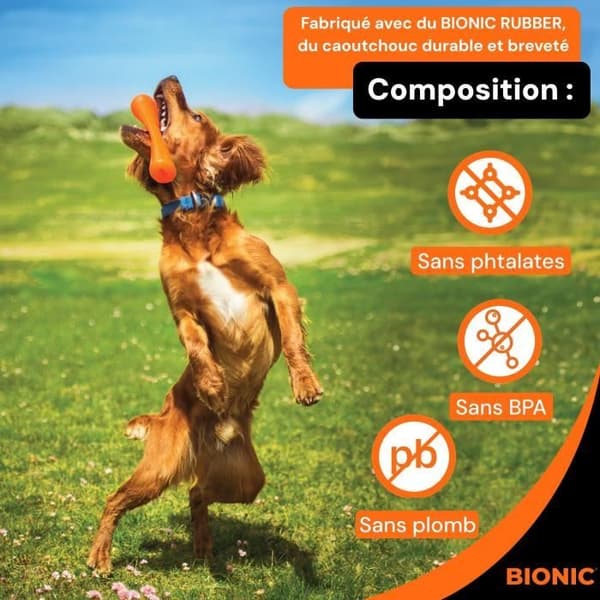 BIONIC Urban Stick Dog Toy - Medium Size 23 cm - Ultra-Resistant Rubber
