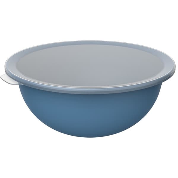 Rotho Bowl with Lid 4.8 L Horizon Blue